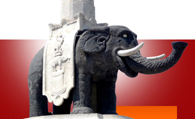 vai alla home page